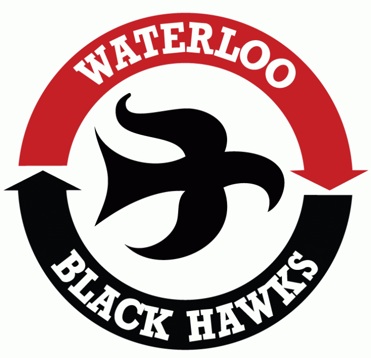 waterloo black hawks iron ons